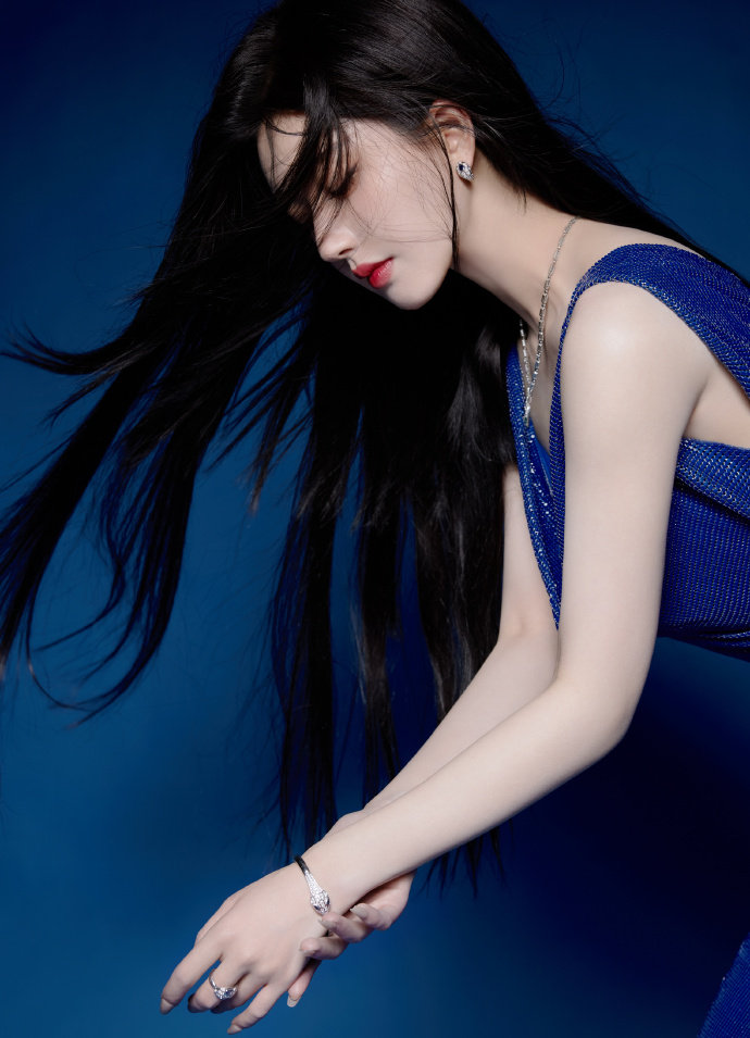 欧美ZOZo人与禽 MBA智库